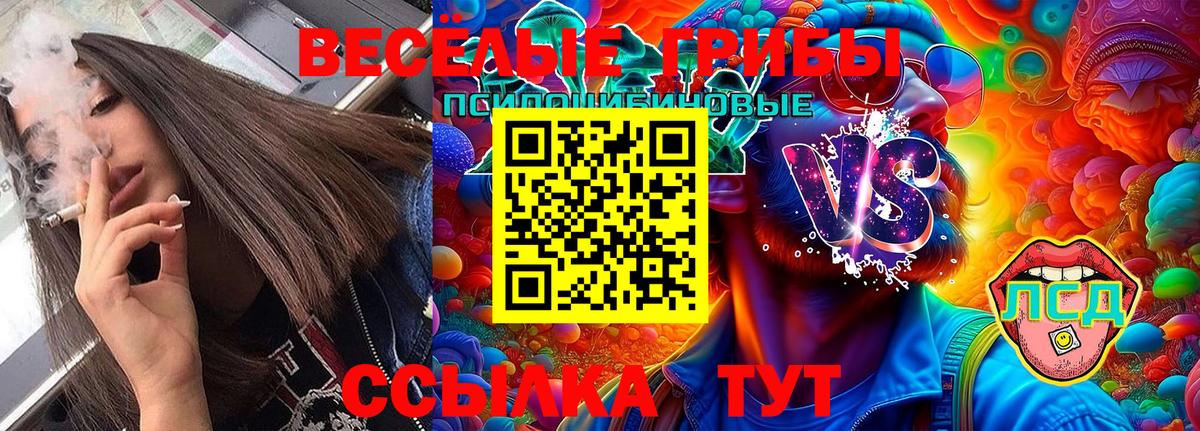 Псилоцибиновые грибы GOLDEN TEACHER Алейск